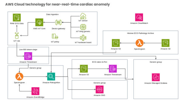 AWS Cloud Technology for Near Real Time Cardiac Anomaly