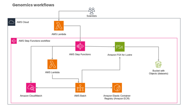 Genomics Workflows