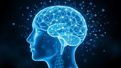 Transparent Human Head Neural Particle Network