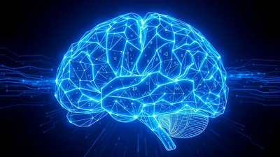 Wireframe Brain with Scattered Numbers Symbols